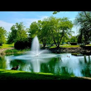 Meet your Posher, Ricky